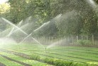 Lonnavalelandscaping-water-management-and-drainage-17.jpg; ?>